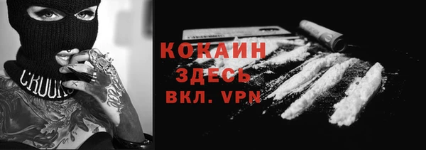 прущие грибы Абинск