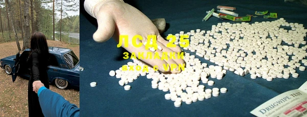 прущие грибы Абинск
