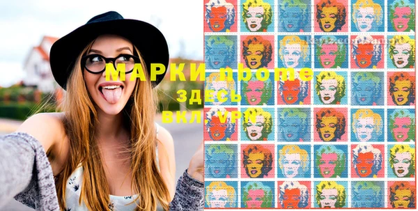 прущие грибы Абинск