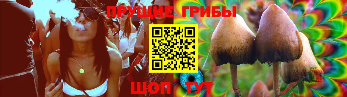 Псилоцибиновые грибы MAGIC MUSHROOMS Тутаев